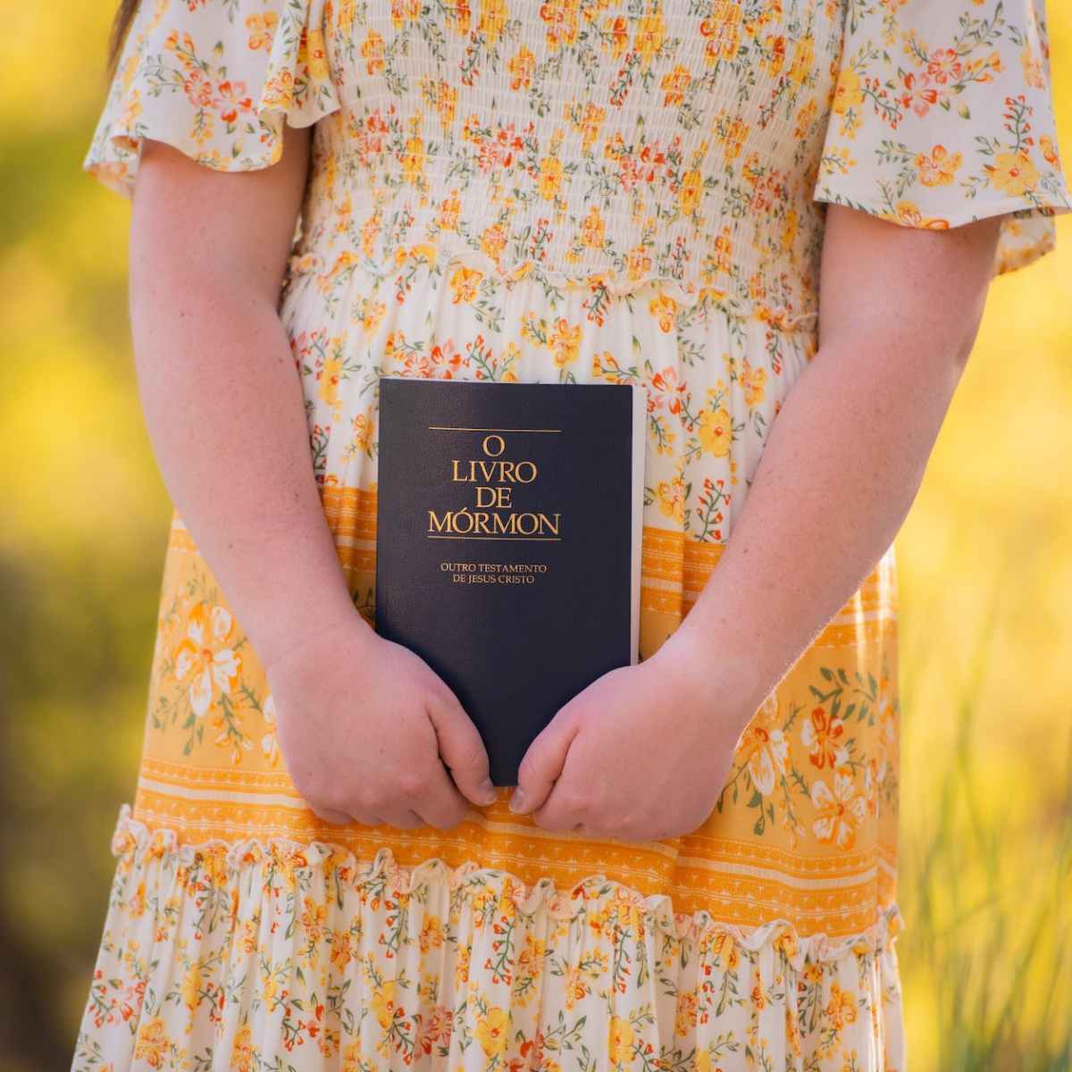 Why the Mormon needs&nbsp;Jesus